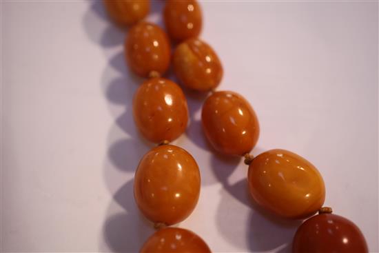 A single strand graduated oval amber bead necklace, 30in.